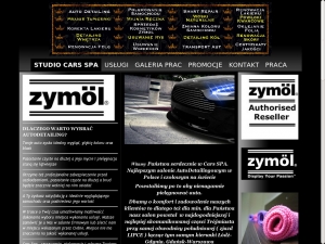 Czyszczenie tapicerki samochodowej.